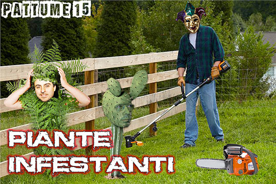 Piante infestanti